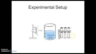 Understanding the DCPIP Lab [upl. by Terrej]