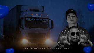 WHAT IS LOVE  HADDAWAY  REMIX DJ ALAN GOMEZ [upl. by Burr]