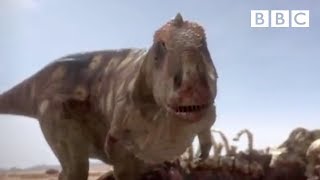 Tyrannosaur Rivalry  Planet Dinosaur  Episode 3  BBC One [upl. by Roby]