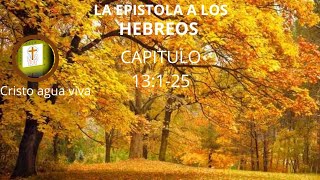 LA EPISTOLA A LOS HEBREOS CAPITULO 13125 NUEVO TESTAMENTO REINA VALERA 1960 [upl. by Ianej]