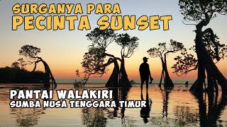 SUMBA  NUSA TENGGARA TIMUR  PANTAI WALAKIRI  NATURE  BEACH  SUNSET  INDONESIA  SUMBA ISLAND [upl. by Hardi449]