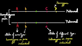 Mendelian Genetics Introduction [upl. by Jock]