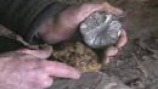 Survival Fire Making  Flint on Marcasite [upl. by Prendergast301]