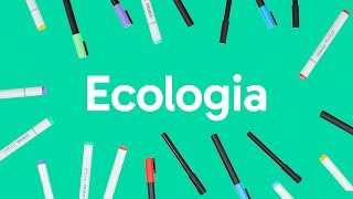 ECOLOGIA CADEIA ALIMENTAR BIOMAS E RELAÇÕES ECOLÓGICAS  QUER QUE DESENHE [upl. by Ellimaj]