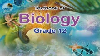 Composition and Organization of chromosome xii Biology NBF [upl. by Ynehpets144]