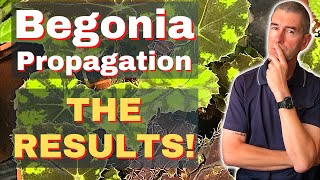 Begonia Propagation 🎉 RESULTS 🥳 [upl. by Ahseral911]