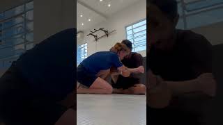 Leglock Entry from Butterfly Guard [upl. by Shiri]