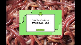 Guía Básica de Lombricultura [upl. by Korry18]