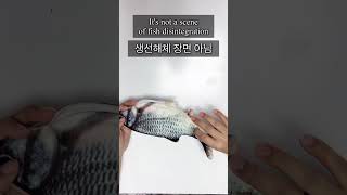 다이소 고양이 장난감Fish cat toy [upl. by Haelem906]