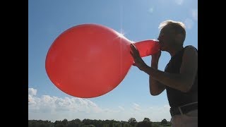 balloon blow to pop – Everts 16quot [upl. by Nwahsyt554]