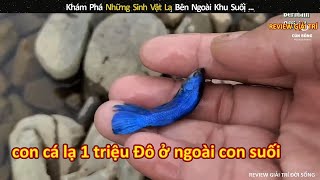 Khám Phá Những Sinh Vật Lạ Bên Ngoài Khu Suối  review giải trí [upl. by Rodmann140]