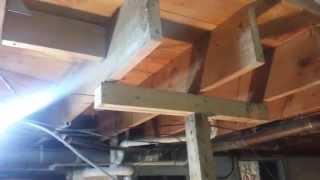 Floor joist replacement part 1 [upl. by Drapehs]