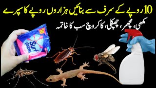 Get rid of mouse Mosquito Flies with homemade spray  Mosquito killer  Powerful Insects Killer [upl. by Annasor]