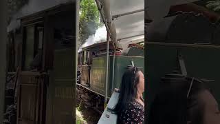 REDWOOD FOREST TRAIN RIDE AT ROARING CAMP [upl. by Ita]