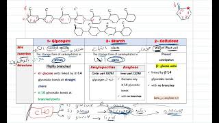 HOMOpolysaccharides ZU الحصة الخامسة شرح العلامة [upl. by Duffy183]