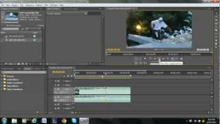 How to Remove Audio in Adobe Premiere Pro [upl. by Diver]