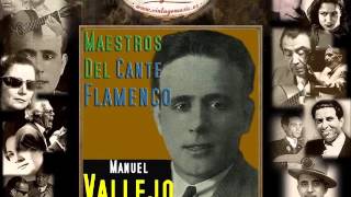 Manuel Vallejo  Creyendo Que Iba a Volver Fandangos Flamenco Masters [upl. by Berkshire]