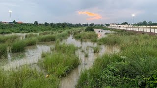 Panagarh industrial park West bengal company  company jobinpanagarh situbvlog industrialvlog [upl. by Wieren]