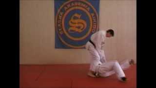 ŚLĄSKA AKADEMIA AIKIDO 2013 [upl. by Aivatnwahs]