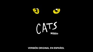 CATS México 1991 Soundtrack [upl. by Stanford467]