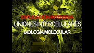 Uniones intercelulares  HistologíaBiología molecular [upl. by Acissj]