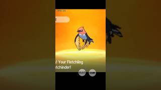 fletchling evolve pokemon [upl. by Halueb]