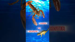 my Rescued PET Lobster is smart🤓 experiment trendingshorts pet pets funnyanimals horrorshorts [upl. by Ailaht]