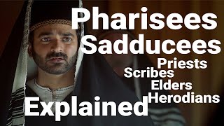 PHARISEES SADDUCEES Priests Scribes Elders Herodians EXPLAINED [upl. by Elene]