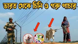 ভারত থেকে অবৈধ পথে চিনি ও গরু পাচার গোপন বর্ডার India Bangladesh hidden border [upl. by Blondie]