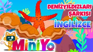 Denizyıldızları Şarkısı İngilizce  Miniyo İngilizce Sevimli Hayvan Şarkıları [upl. by Habeh]