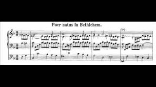 JS Bach  BWV 603  Puer natus in Bethlehem [upl. by Htrahddis]