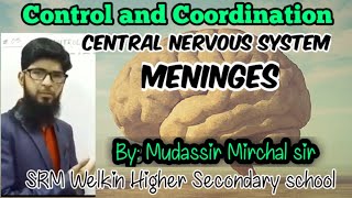 Conrol and Coordination  Meninges of CNS [upl. by Sgninnej]