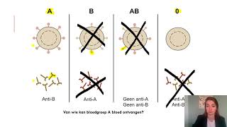 Samenvatting Opslag Uitscheiding amp Bescherming 4 VMBO Biologie Voor Jou MAX [upl. by Vas]