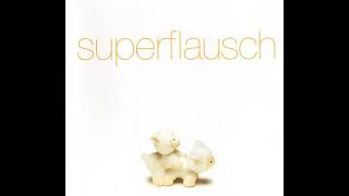 Superflausch  Ficken Popmonster Remix [upl. by Eirret]