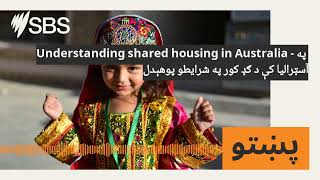 Understanding shared housing in Australia  په آسټرالیا کې د ګډ کور په شرایطو پوهېدل  SBS [upl. by Standley653]