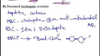 USMLE ACE Video 156 Conjugated and Unconjugated Hyperbilirubinemia [upl. by Fry]