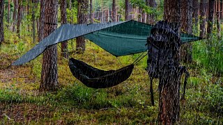 The Truth About Hammock Camping [upl. by Eitac794]