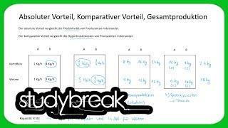 Absoluter Vorteil Komparativer Vorteil Gesamtproduktion  Volkswirtschaftslehre [upl. by Einahets676]