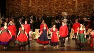 Johann Strauss Tritsch Tratsch Polka [upl. by Atnahsal967]