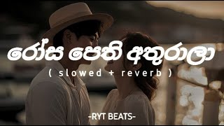 rosa pethi athurala රෝස පෙති අතුරාලාslowedreverb song🥰❤manoparakata chamara weerasinghe [upl. by Hound]