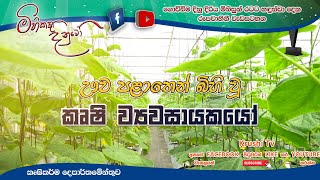 Mihikatha Dinuwo TV Program  ඌව පළාතෙන් බිහි වු කැම ව්‍යවසායකයෝ  20240614  Krushi Tv [upl. by Morris562]