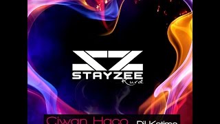 StayZee Kurd Remix  Dil Ketime Ciwan Haco [upl. by Lienaj]