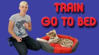 The EASIEST way to train your puppy to go to his bed  Dog training [upl. by Aneekan]