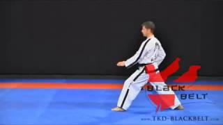 SAJU MAKGI by Jaroslaw Suska www tkd blackbelt com [upl. by Gyimah]