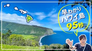 「ハワイ島ってどんなところ？」魅力のまとめ！ [upl. by Remlap]