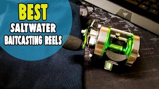 Best Saltwater Baitcasting Reels in 2021 – 10 BudgetFriendly Options [upl. by Deutsch]