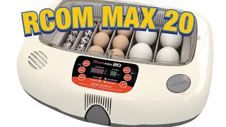 Quick review of my Rcom Max 20 incubator [upl. by Oralia]