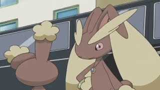 Buneary amp Lopunny AMV  SL U T Thanks for 1k subs [upl. by Calvert624]