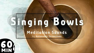 60 Minuten Meditatie Singing Bowls 🎵 Ontspanning Rustgevende Sound klankschaal Muziek [upl. by Ielarol]