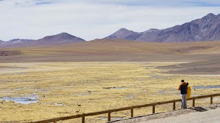 Geysers del Tatio  Atacama Desert [upl. by Crowns]